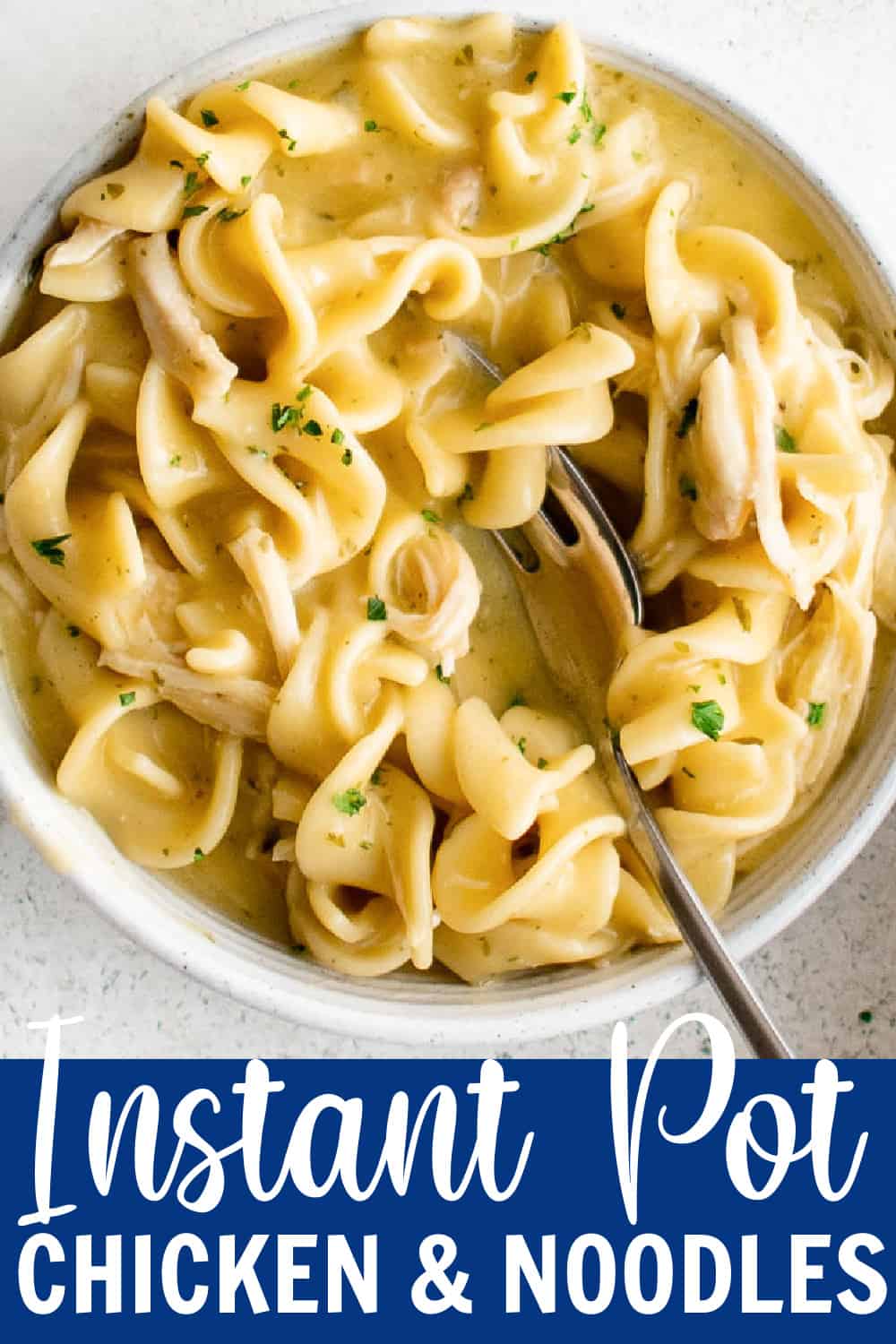 Instant Pot Chicken and Noodles Belle of the Kitchen