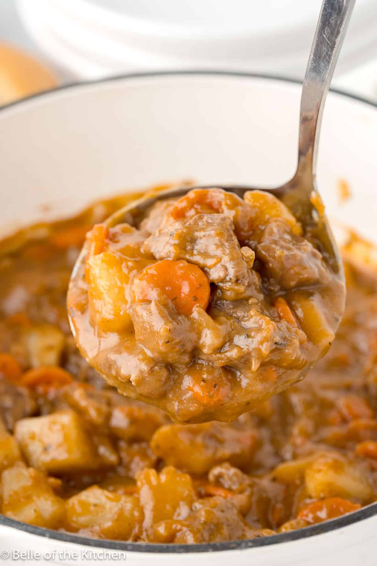 a ladle scooping beef stew out of a pot.