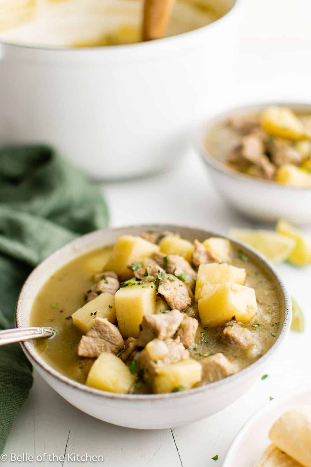 a bowl of soup with chunks of pork and potatoes with a spoon.