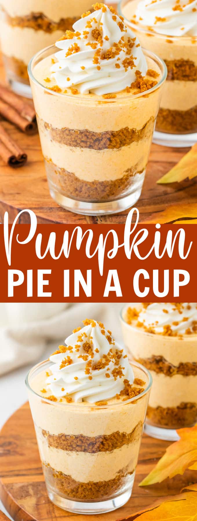 a glass cup filled with layers of cookie crumbs, pumpkin cheesecake, and whipped cream on top.