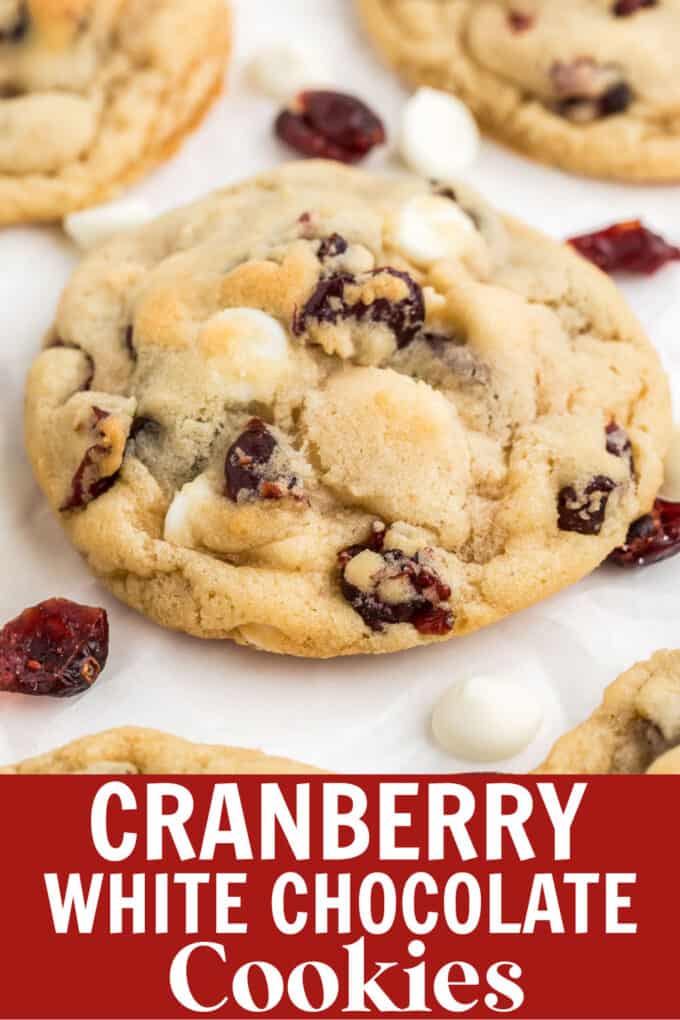 a close up of a cookie with cranberries and white chocolate chips.
