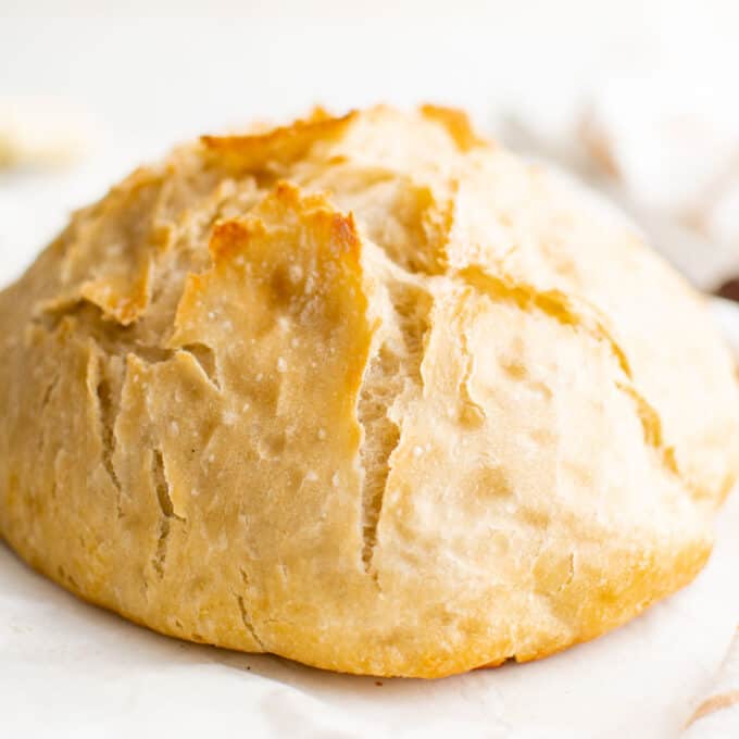 Dutch Oven Bread Recipe (No Knead!) - Belle of the Kitchen