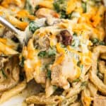a spoon scooping up cheesy pasta with chicken and mushrooms.
