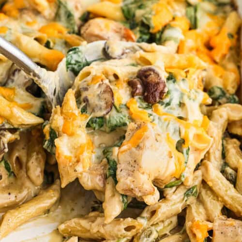 Creamy Chicken and Mushroom Pasta - Belle of the Kitchen
