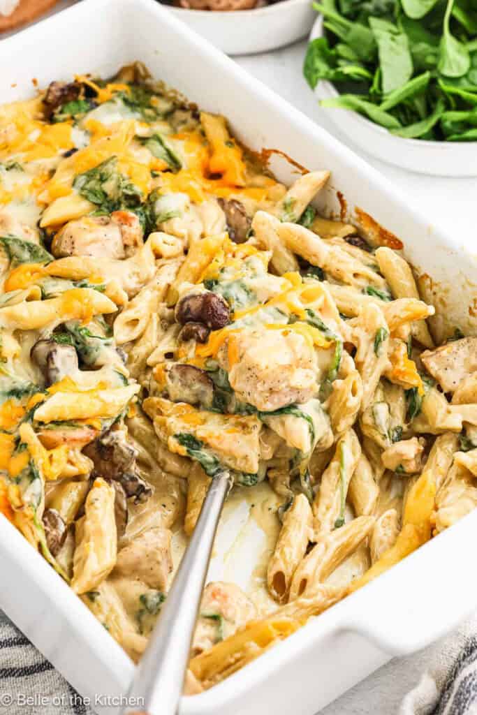 Creamy Chicken and Mushroom Pasta - Belle of the Kitchen