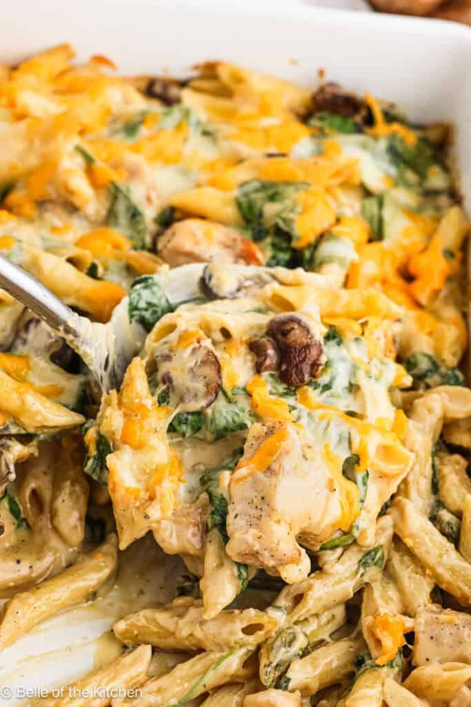 Creamy Chicken and Mushroom Pasta - Belle of the Kitchen