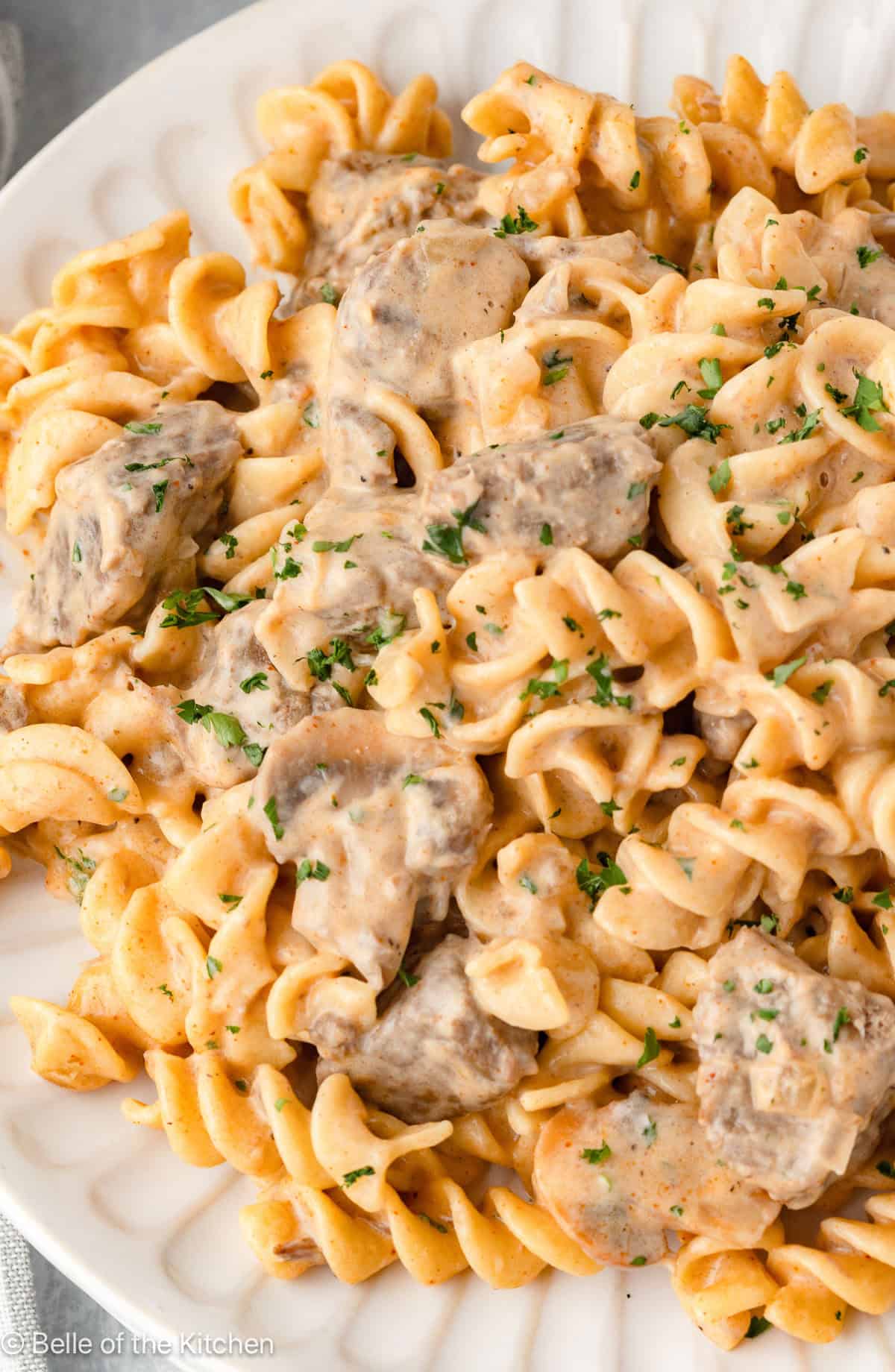 Beef with egg noodles.