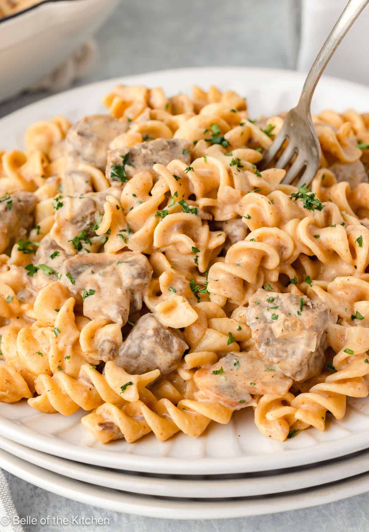 Beef Tips and Noodles - Belle of the Kitchen
