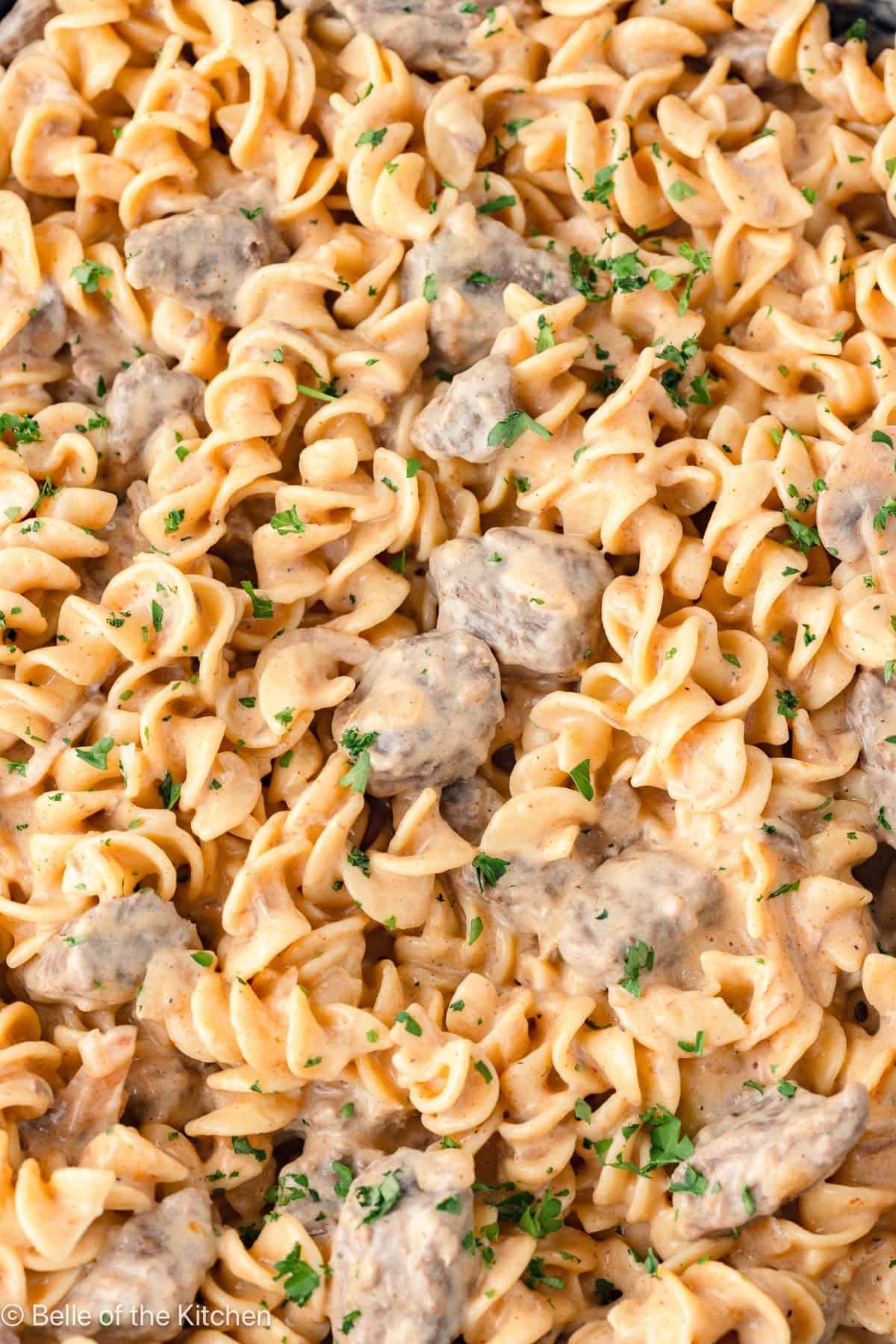 Beef with egg noodles.