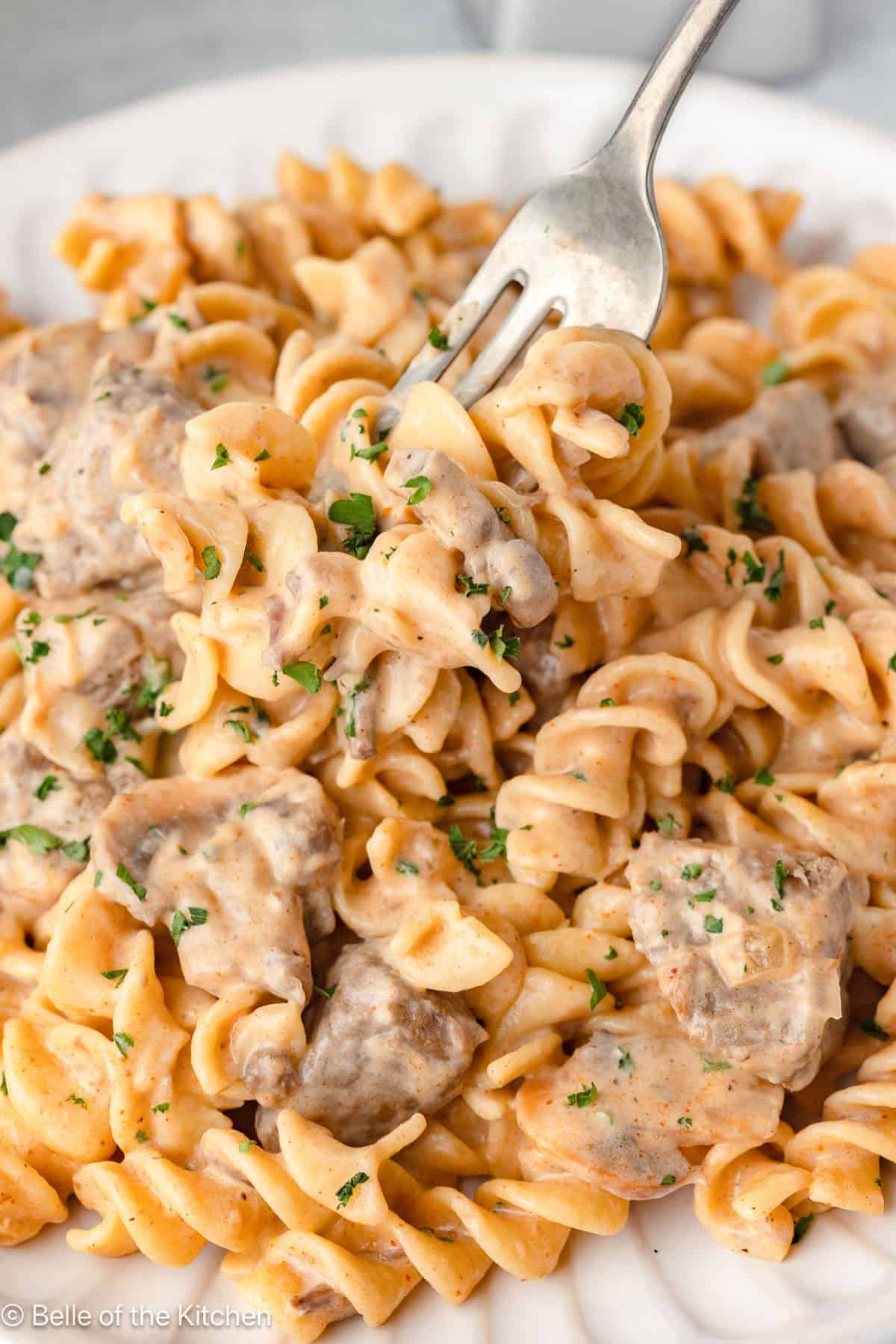 Egg noodles with beef on a plate with a fork scooping into it.
