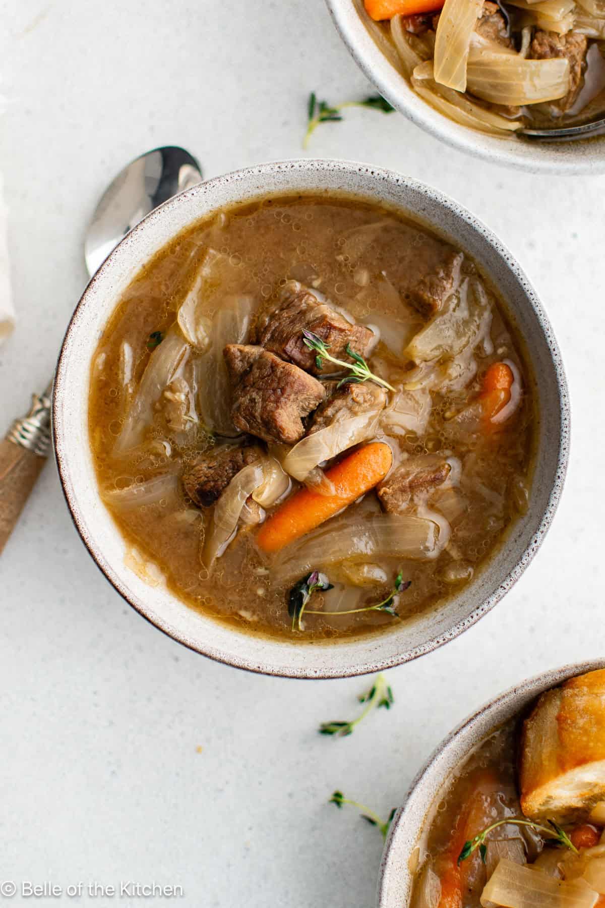 A white bowl of beef stew with onions and carrots.