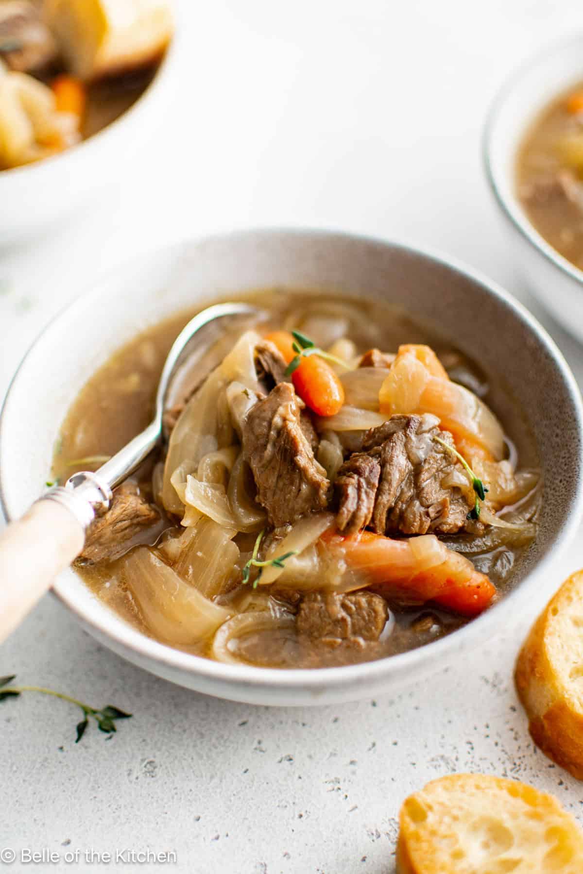 A white bowl of beef stew with onions and c