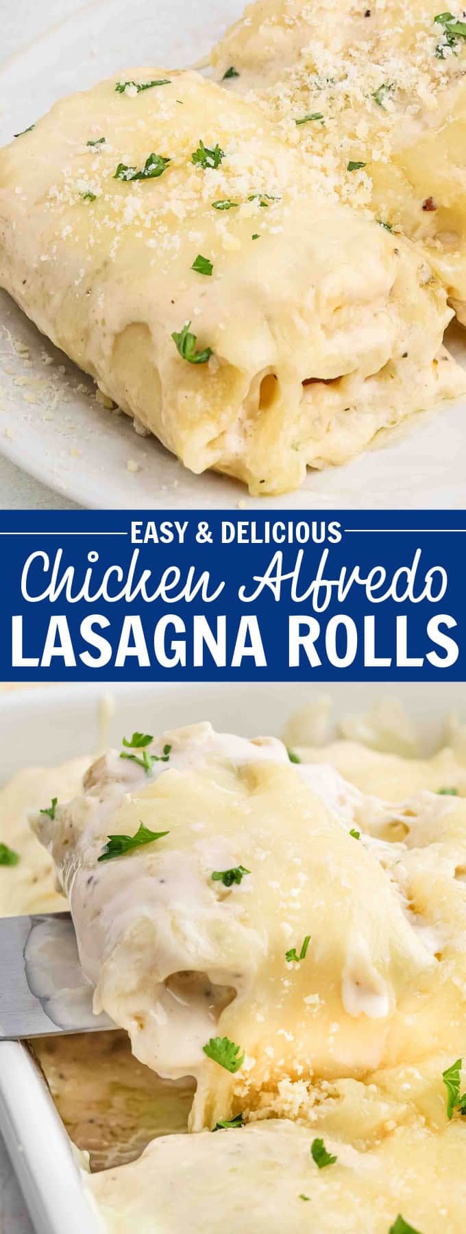 A white plate holding two chicken alfredo lasagna roll ups.