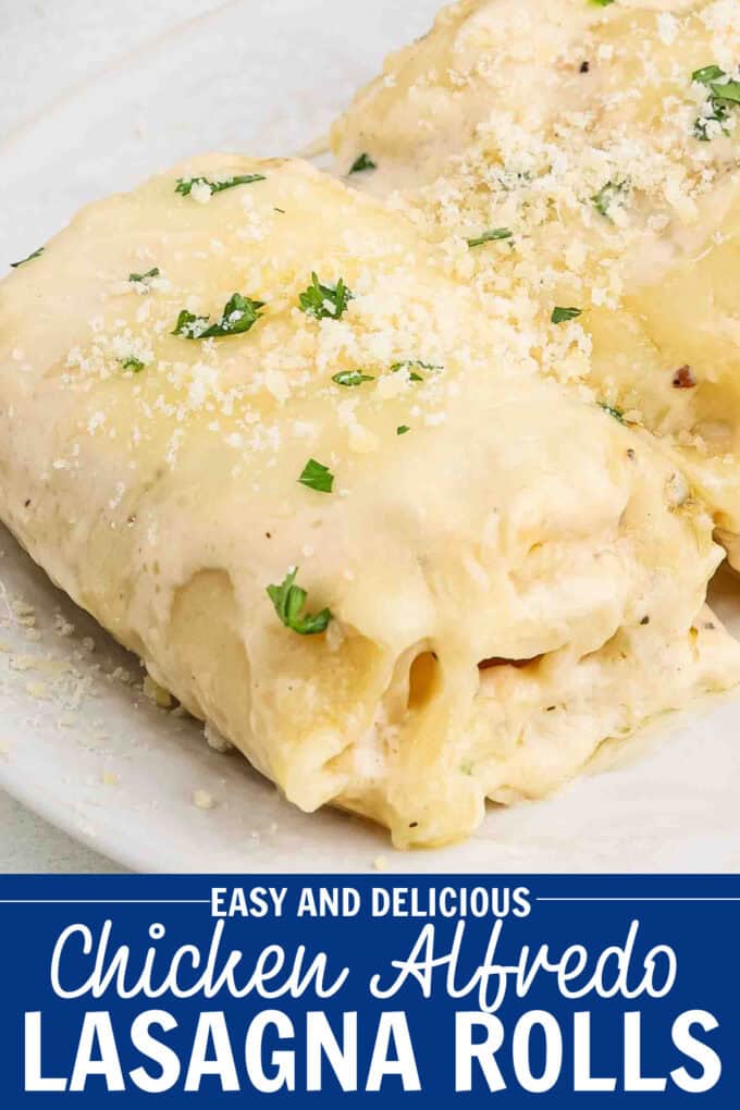 A white plate holding two chicken alfredo lasagna roll ups.