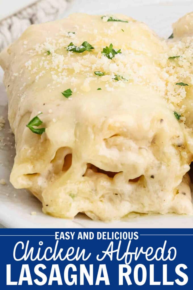 A white plate holding two chicken alfredo lasagna roll ups.