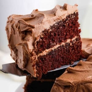 A slice of chocolate cake on a spatula.