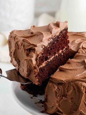 A slice of chocolate cake on a spatula.