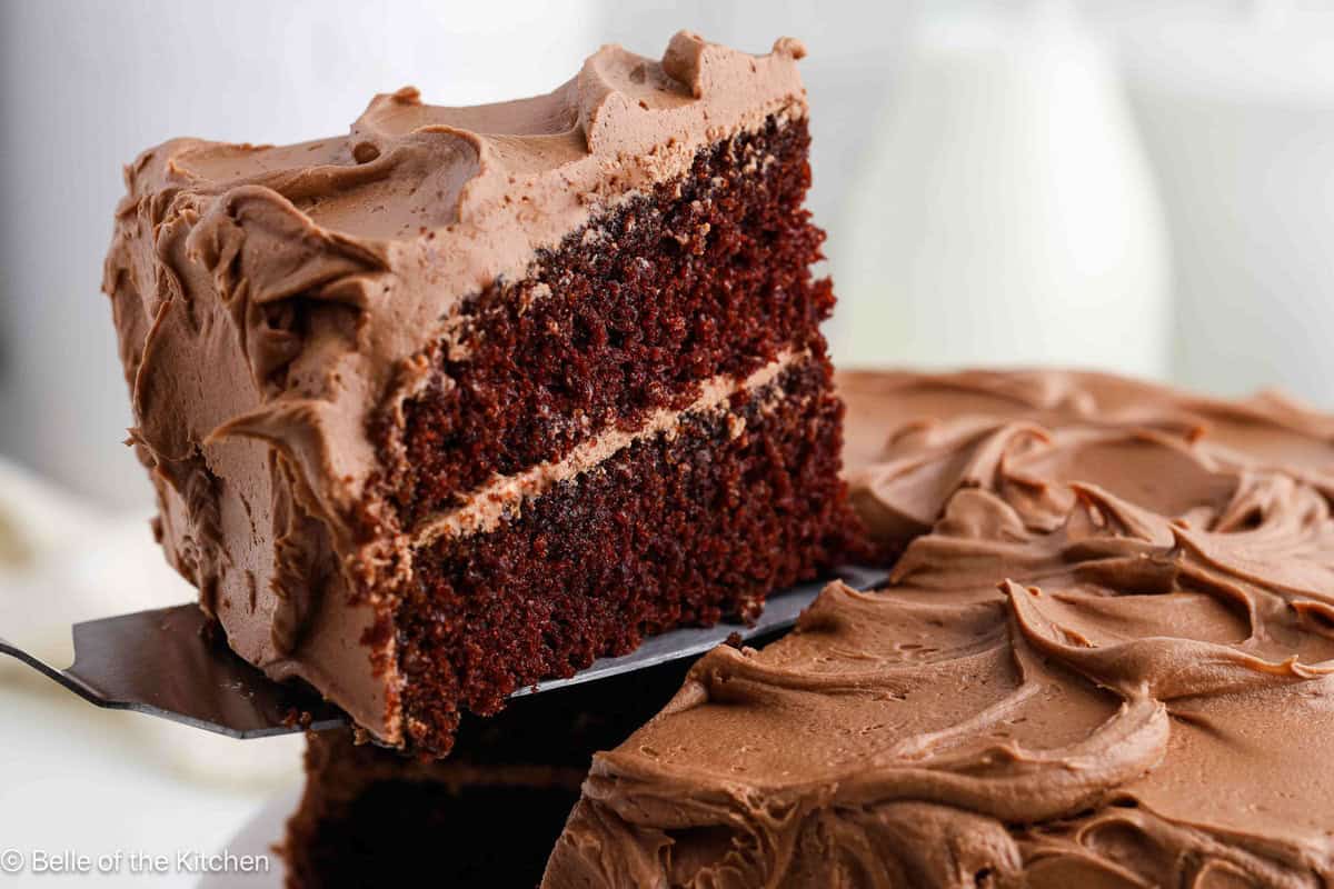 A slice of chocolate cake on a spatula.