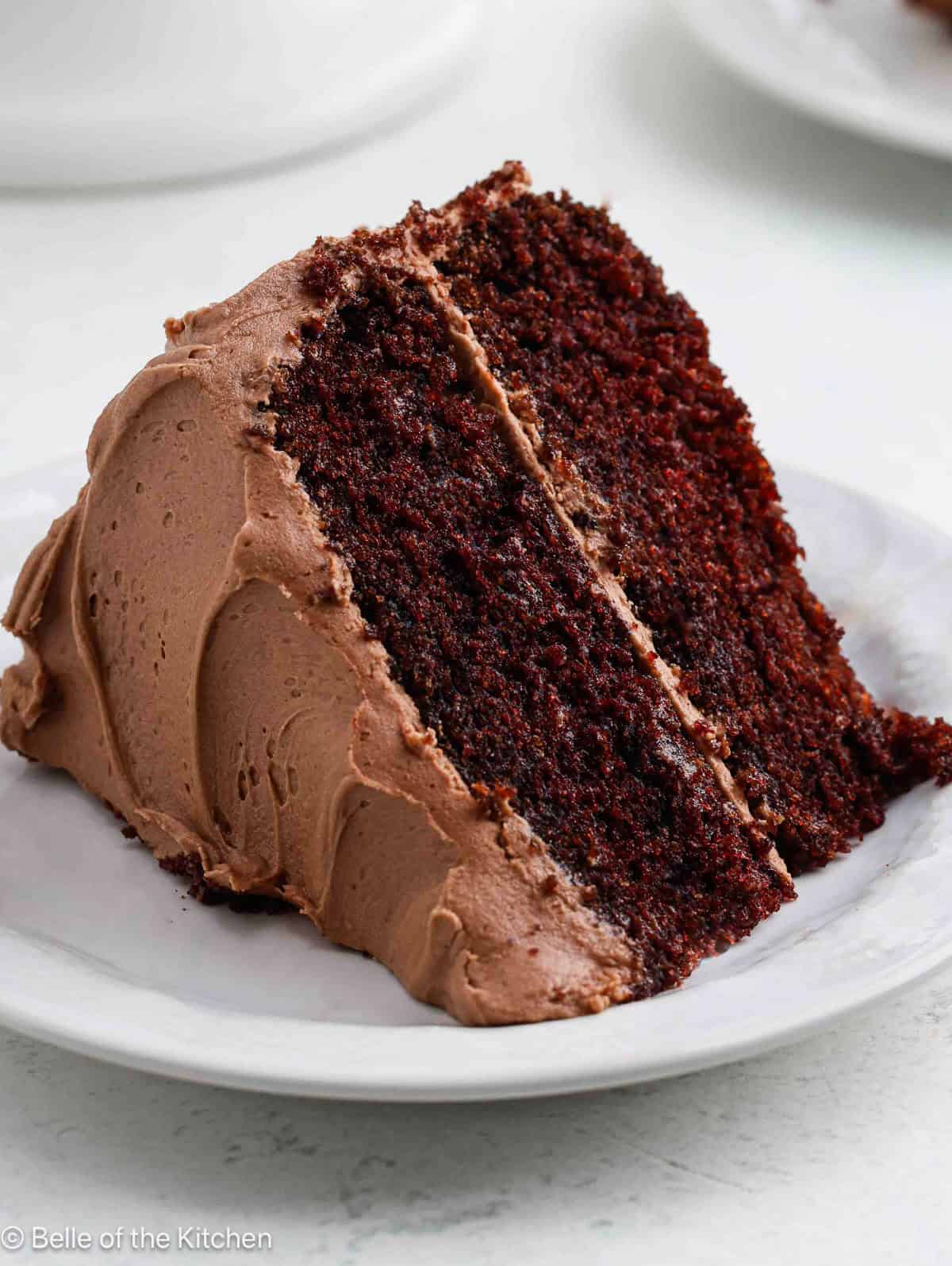 A slice of chocolate cake on a white plate.