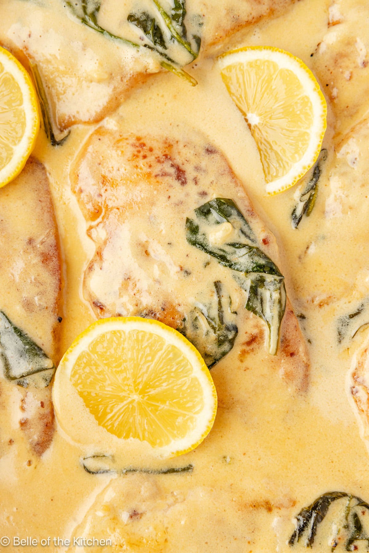 A skillet full of chicken in a lemon sauce with sliced lemons.